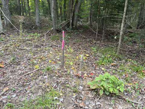 11449 Bilder Rd #10 ACRES, Wolverine, MI 49799 photo 58