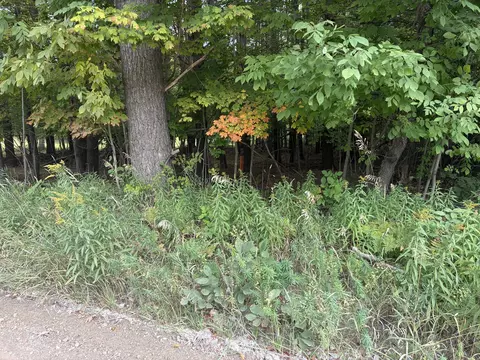11449 Bilder Rd #10 ACRES, Wolverine, MI 49799 photo 10