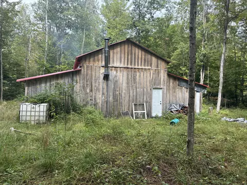 11449 Bilder Rd #10 ACRES, Wolverine, MI 49799 photo 20