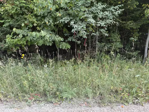 11449 Bilder Rd #10 ACRES, Wolverine, MI 49799 photo 8