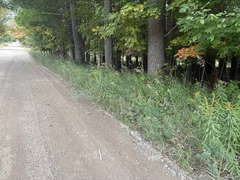 11449 Bilder Rd #10 ACRES, Wolverine, MI 49799 photo 11