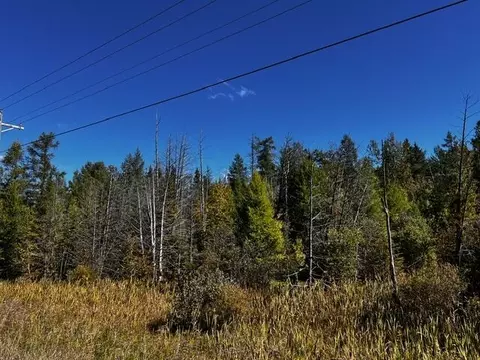 VL Afton Road #5 +/- ACRES, Wolverine, MI 49799 photo 3
