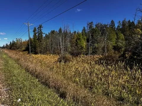 VL Afton Road #5 +/- ACRES, Wolverine, MI 49799 photo 7