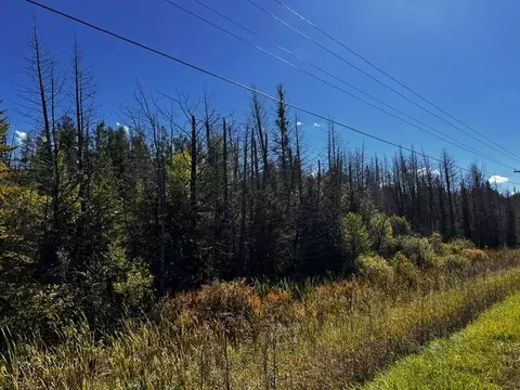 VL Afton Road #5 +/- ACRES, Wolverine, MI 49799 photo 4