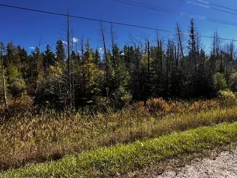 VL Afton Road #5 +/- ACRES, Wolverine, MI 49799 photo 5
