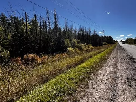 VL Afton Road #5 +/- ACRES, Wolverine, MI 49799 photo 6