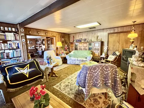 Living - 4695 Salling Ave, Lewiston, MI 49756 photo 6 of 7