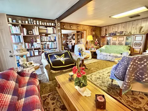 Living - 4695 Salling Ave, Lewiston, MI 49756 photo 7 of 7