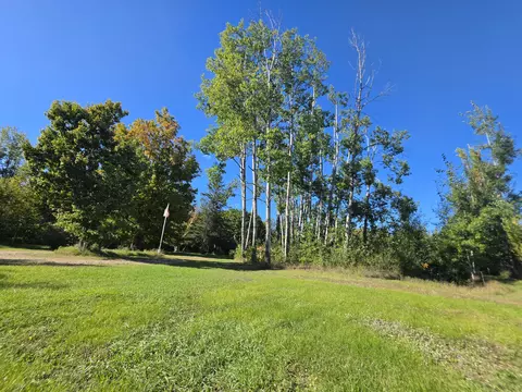 Exterior - 1465 W Cherry Creek Rd, Mio, MI 48647 photo 21 of 28