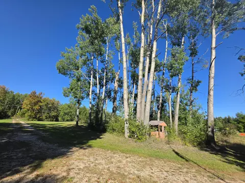 Exterior - 1465 W Cherry Creek Rd, Mio, MI 48647 photo 5 of 28
