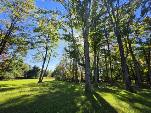 Exterior - 1465 W Cherry Creek Rd, Mio, MI 48647 photo 18 of 28
