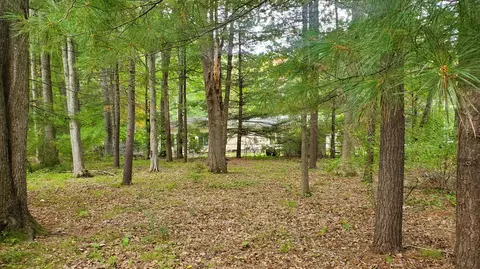 V/L Oakwood Avenue #S 10 & 11, Prudenville, MI 48651
