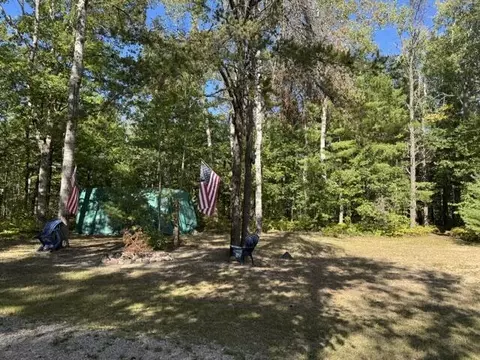 Exterior - 7275 Camp Rd, Ocqueoc, MI 49759 photo 4 of 7