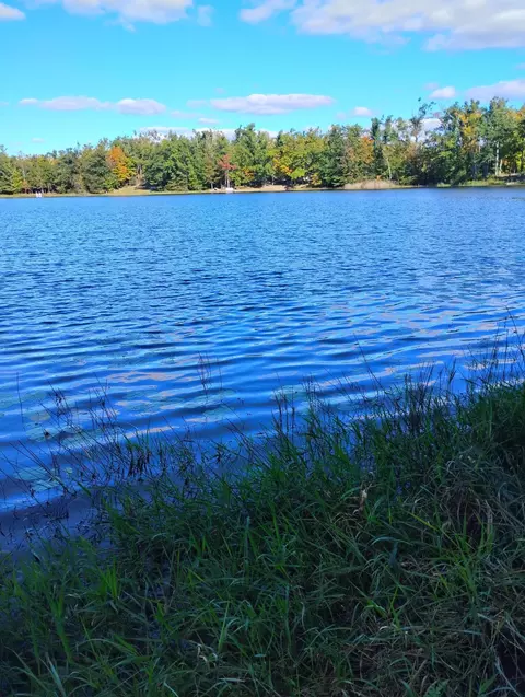 14006 Chippewa Trl, Johannesburg, MI 49751