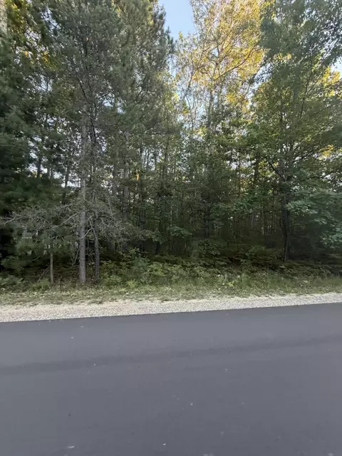 1350 N St Helen Rd, Saint Helen, MI 48656