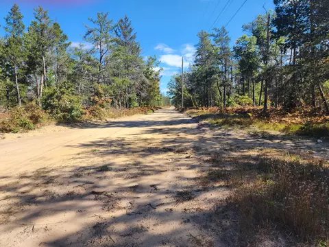 rustic lane, Grayling, MI 49738 photo 5