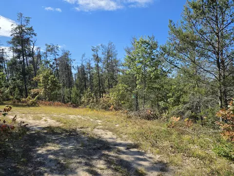 rustic lane, Grayling, MI 49738 photo 18