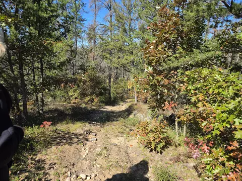 rustic lane, Grayling, MI 49738 photo 17
