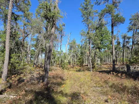 rustic lane, Grayling, MI 49738 photo 20