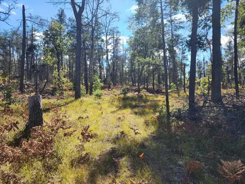 rustic lane, Grayling, MI 49738 photo 15