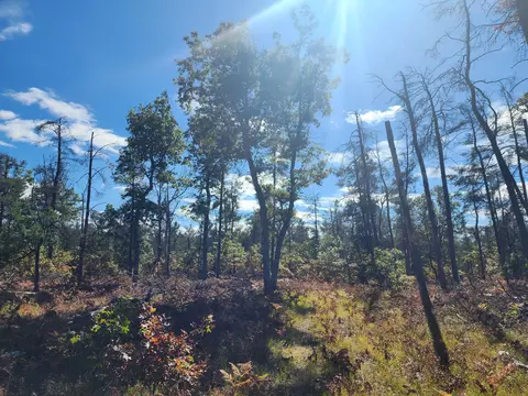 rustic lane, Grayling, MI 49738 photo 10