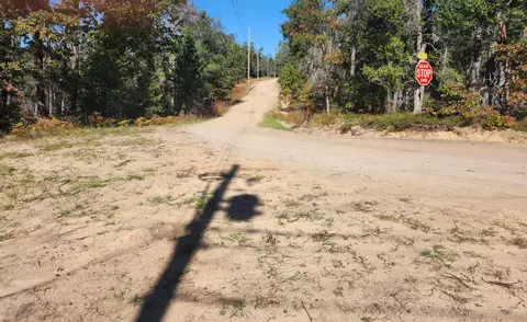 rustic lane, Grayling, MI 49738 photo 3
