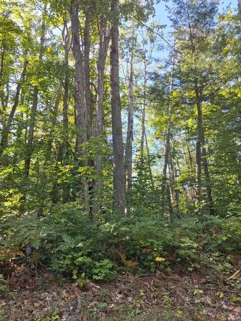 V/l .52ac Cree Trail, Gaylord, MI 49735