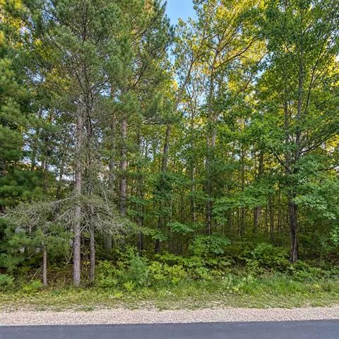 V/l .63ac Indian Wood Drive, Roscommon, MI 48656