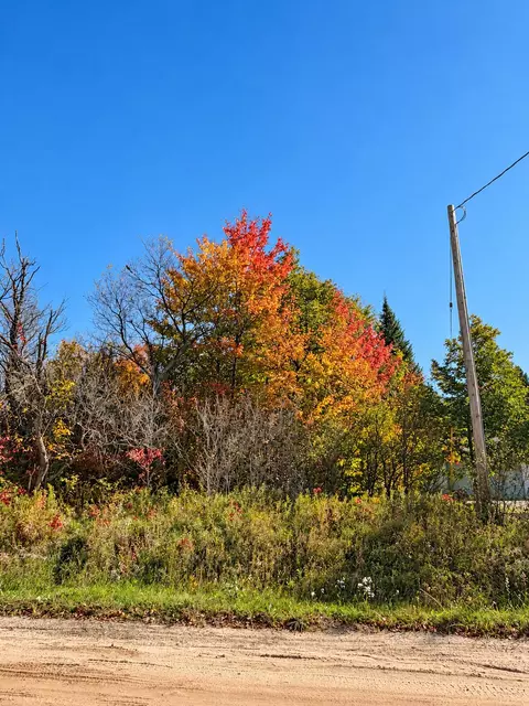 V/l .69ac E West Branch Road, Saint Helen, MI 48656