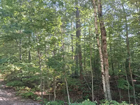 V/L Mackinaw Trail #PAR 345, 346, & 347, Gaylord, MI 49735