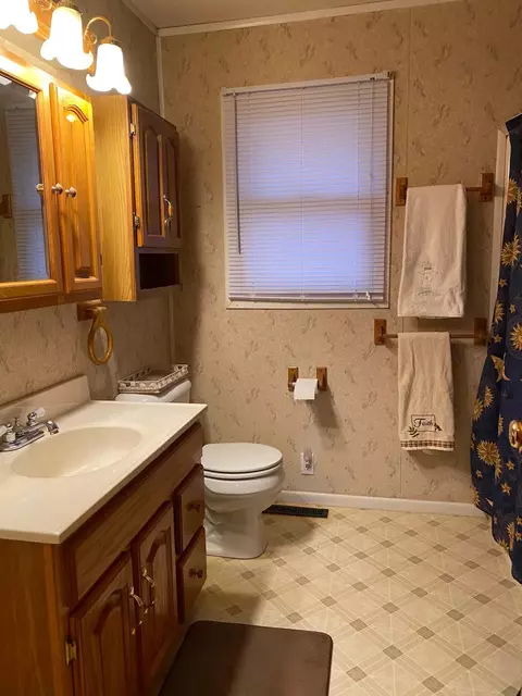 Bath - 409 Hill St, Mio, MI 48647 photo 1 of 1