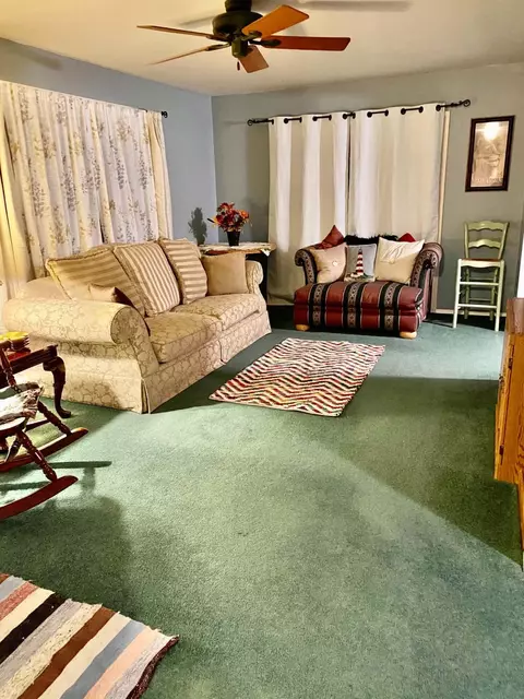Living - 409 Hill St, Mio, MI 48647 photo 1 of 1