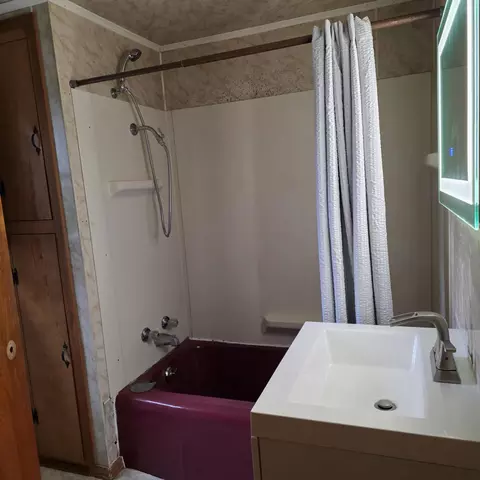 Bath - 1065 Pine Rd, Alpena, MI 49707 photo 1 of 1