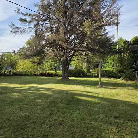 Exterior - 1065 Pine Rd, Alpena, MI 49707 photo 2 of 3
