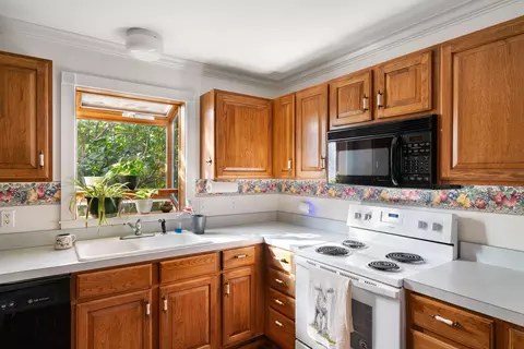 Kitchen - 10522 Rotter Rd, Alanson, MI 49706 photo 3 of 3