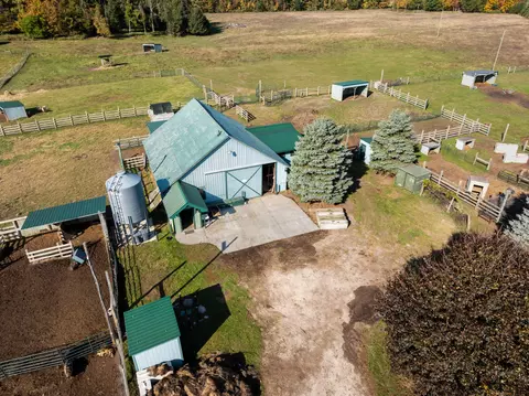 Exterior - 10522 Rotter Rd, Alanson, MI 49706 photo 11 of 24