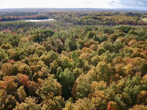 V/L Abby Lane #54.24 ACRES, Afton, MI 49705