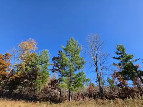 16 Acres M33, Atlanta, MI 49709