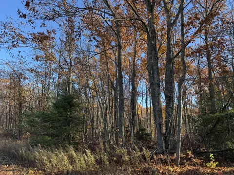 lot S 9-12 Charles Brink Rd, Gaylord, MI 49735
