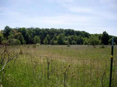 7902 E 16 Rd, Manton, MI 49663 photo 1