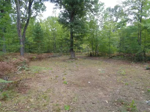 10880 Cedar Ln, Gladwin, MI 48624 photo 1