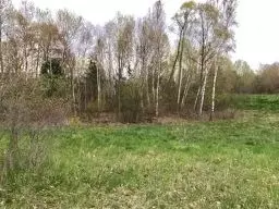 5085 Windie Drive Gladwin Mi 48624 Dr, Gladwin, MI 48624 photo 21