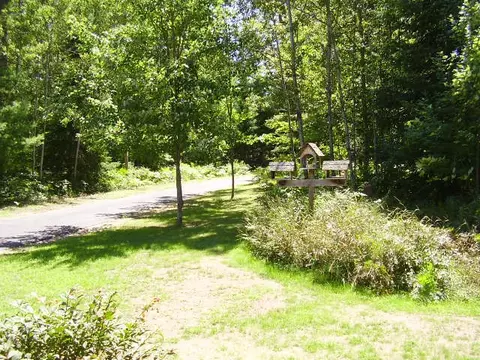 933 Helmer Lake Rd, Mio, MI 48647 photo 9