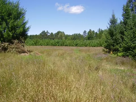 933 Helmer Lake Rd, Mio, MI 48647 photo 12