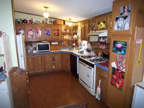 6701 Wolf Road Frederic Mi 49733 Rd, Frederic, MI 49733 photo 12