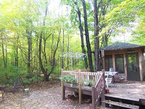 6701 Wolf Road Frederic Mi 49733 Rd, Frederic, MI 49733 photo 5