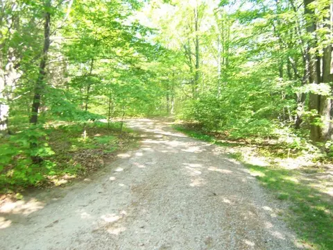 6701 Wolf Road Frederic Mi 49733 Rd, Frederic, MI 49733 photo 7