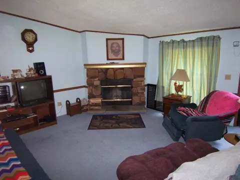 6701 Wolf Road Frederic Mi 49733 Rd, Frederic, MI 49733 photo 10