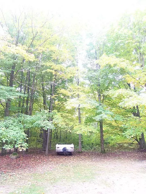 6701 Wolf Road Frederic Mi 49733 Rd, Frederic, MI 49733 photo 14