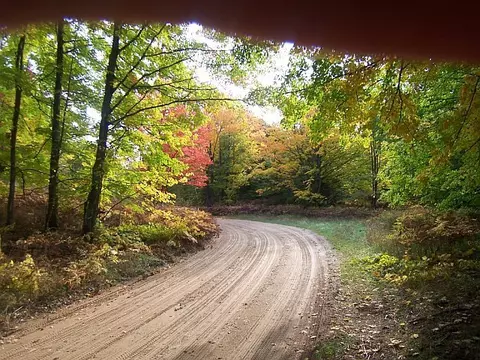 6701 Wolf Road Frederic Mi 49733 Rd, Frederic, MI 49733 photo 17